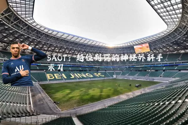 SAOT:越位判罚的神经外科手术刀